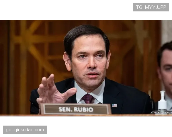 体育医学专家谈 concussion 协议：脑震荡防护标准再升级