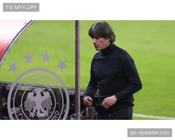 专访德国手球协会主席:谈国家队建设与2028年奥运会的目标 专访德国手球协会主席:谈国家队建设与2028年奥运会的目标