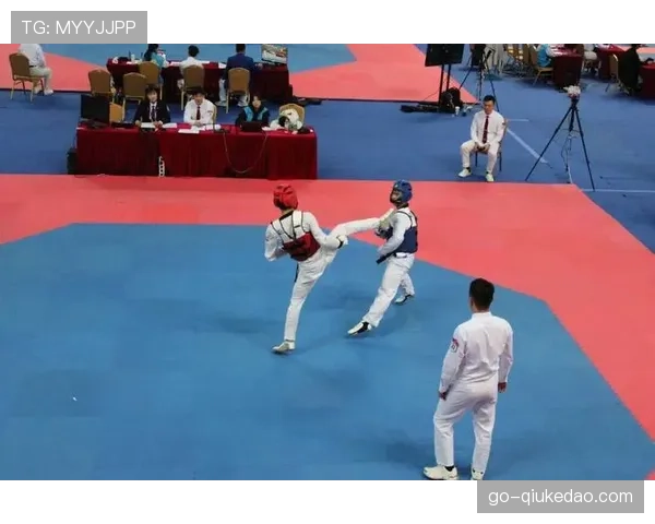 亚洲跆拳道锦标赛，韩国队强势夺取6金，中国队收获2银3铜